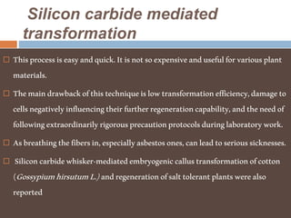 Silicon carbide mediated
transformation
 Thisprocessiseasyandquick.Itisnotsoexpensiveandusefulforvariousplant
materials.
 Themaindrawbackofthistechniqueislowtransformationefficiency,damageto
cellsnegativelyinfluencingtheirfurtherregenerationcapability,andtheneedof
followingextraordinarilyrigorousprecautionprotocolsduringlaboratorywork.
 Asbreathingthefibersin,especiallyasbestosones,canleadtoserioussicknesses.
 Siliconcarbidewhisker-mediatedembryogeniccallustransformationofcotton
(GossypiumhirsutumL.)andregenerationofsalttolerantplantswerealso
reported
 