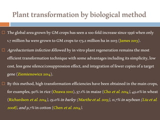 Planttransformationbybiologicalmethod
 TheglobalareagrownbyGMcropshasseena100-foldincreasesince1996whenonly
1.7millionhaweregrowntoGMcropsto175.2millionhain2013(James2013).
 Agrobacteriuminfectionfollowedbyinvitroplantregenerationremainsthemost
efficienttransformationtechniquewithsomeadvantagesincludingitssimplicity,low
cost,lessgenesilence/cosuppressioneffect,andintegrationoffewercopiesofatarget
gene(Ziemienowicz2014).
 Bythismethod,hightransformationefficiencieshavebeenobtainedinthemaincrops,
forexamples,90%inrice(Ozawa2012),57.1%inmaize(Choetal.2014),45.0%inwheat
(Richardsonetal.2014),25.0%inbarley(Martheetal.2015),11.7%insoybean(Liuetal.
2008),and9.7%incotton(Chenetal.2014).
 
