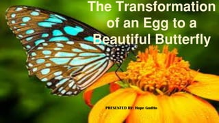 The Transformation
of an Egg to a
Beautiful Butterfly
PRESENTED BY: Hope Gudito
 