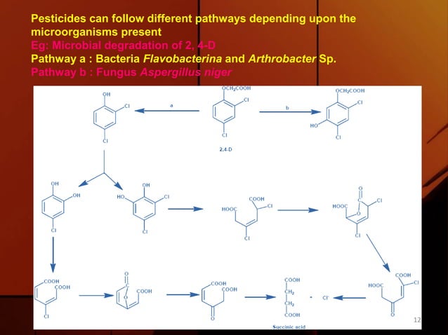 Pesticide Inversion Transformation of pesticides in the environment | PPTX | Chemistry ...