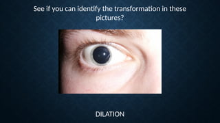 See if you can identify the transformation in these
pictures?
DILATION
 