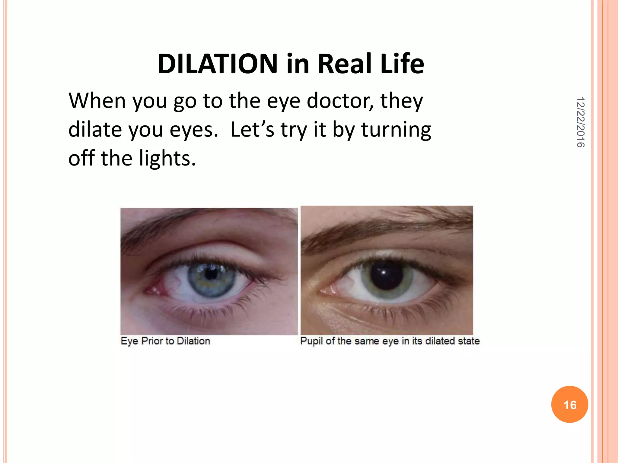 12/22/2016
16
When you go to the eye doctor, they
dilate you eyes. Let’s try it by turning
off the lights.
DILATION in Real Life
 