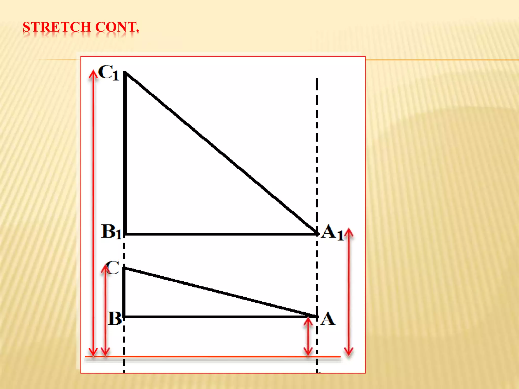 STRETCH CONT.
 