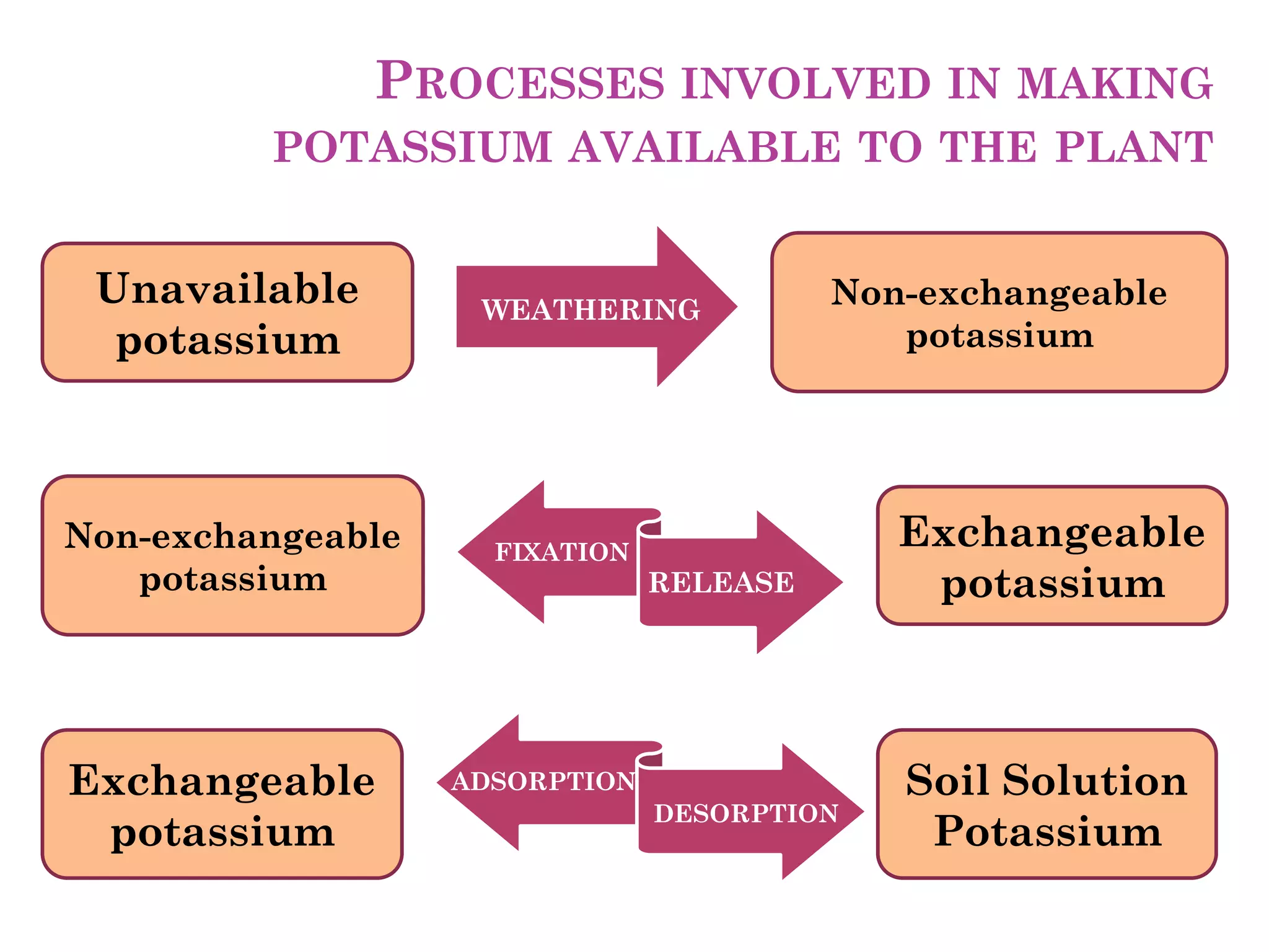 ADSORPTION
DESORPTION
FIXATION
RELEASE
Non-exchangeable
potassium
Exchangeable
potassium
Soil Solution
Potassium
Exchangeable
potassium
Unavailable
potassium
Non-exchangeable
potassium
WEATHERING
PROCESSES INVOLVED IN MAKING
POTASSIUM AVAILABLE TO THE PLANT
 