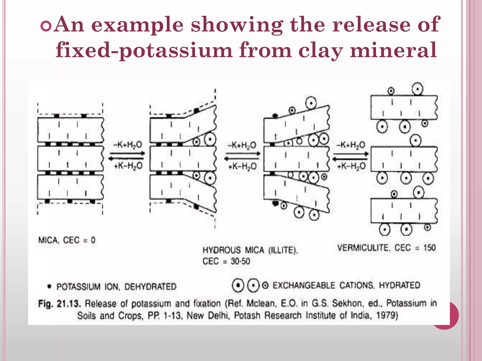 An example showing the release of
fixed-potassium from clay mineral
 