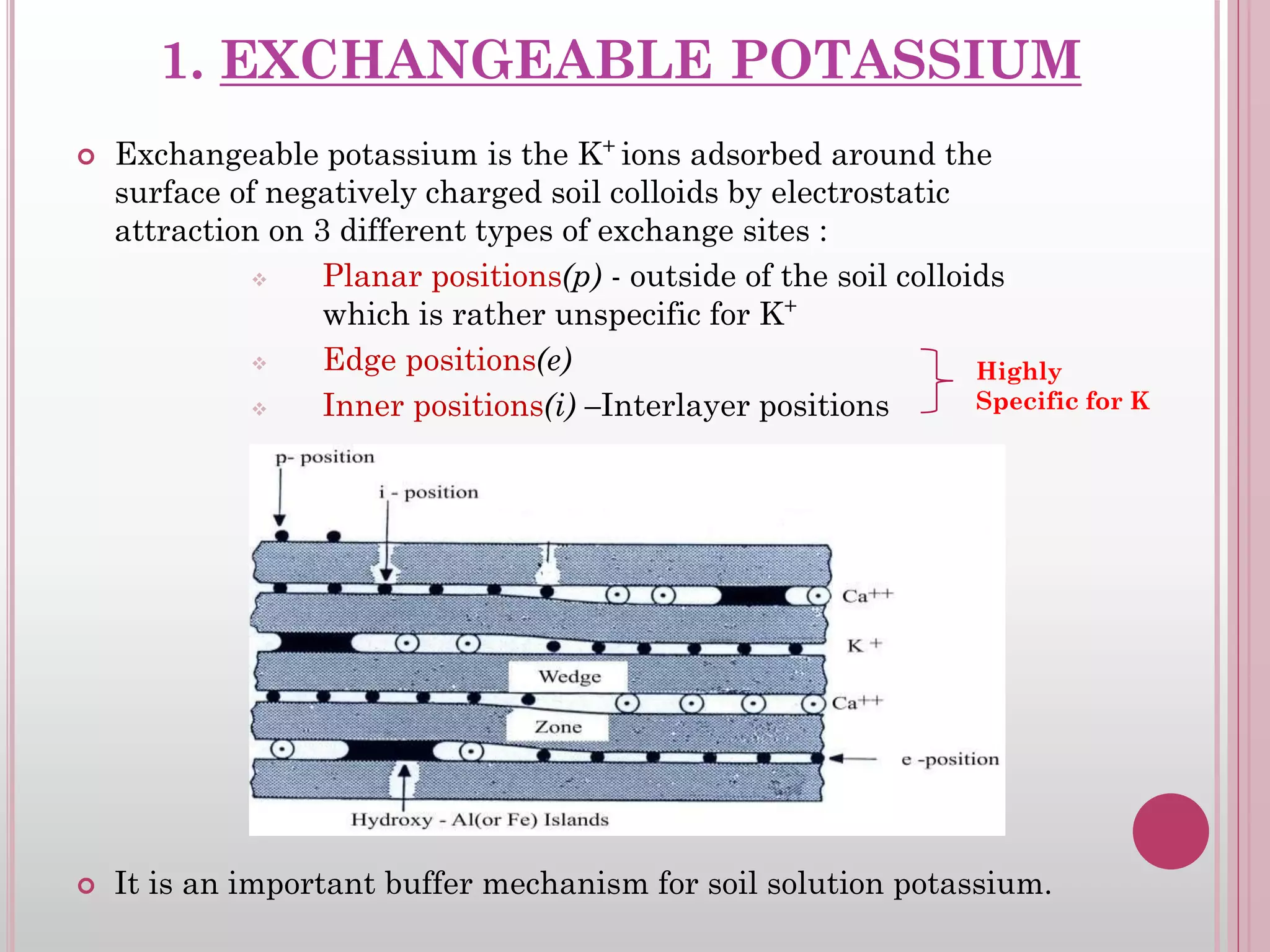 1. EXCHANGEABLE POTASSIUM
 Exchangeable potassium is the K+
ions adsorbed around the
surface of negatively charged soil colloids by electrostatic
attraction on 3 different types of exchange sites :
 Planar positions(p) - outside of the soil colloids
which is rather unspecific for K+
 Edge positions(e)
 Inner positions(i) –Interlayer positions
 It is an important buffer mechanism for soil solution potassium.
Highly
Specific for K
 