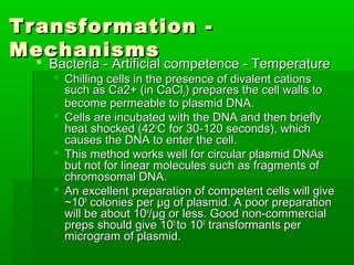 Transformations of cells