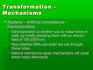 Transformations of cells