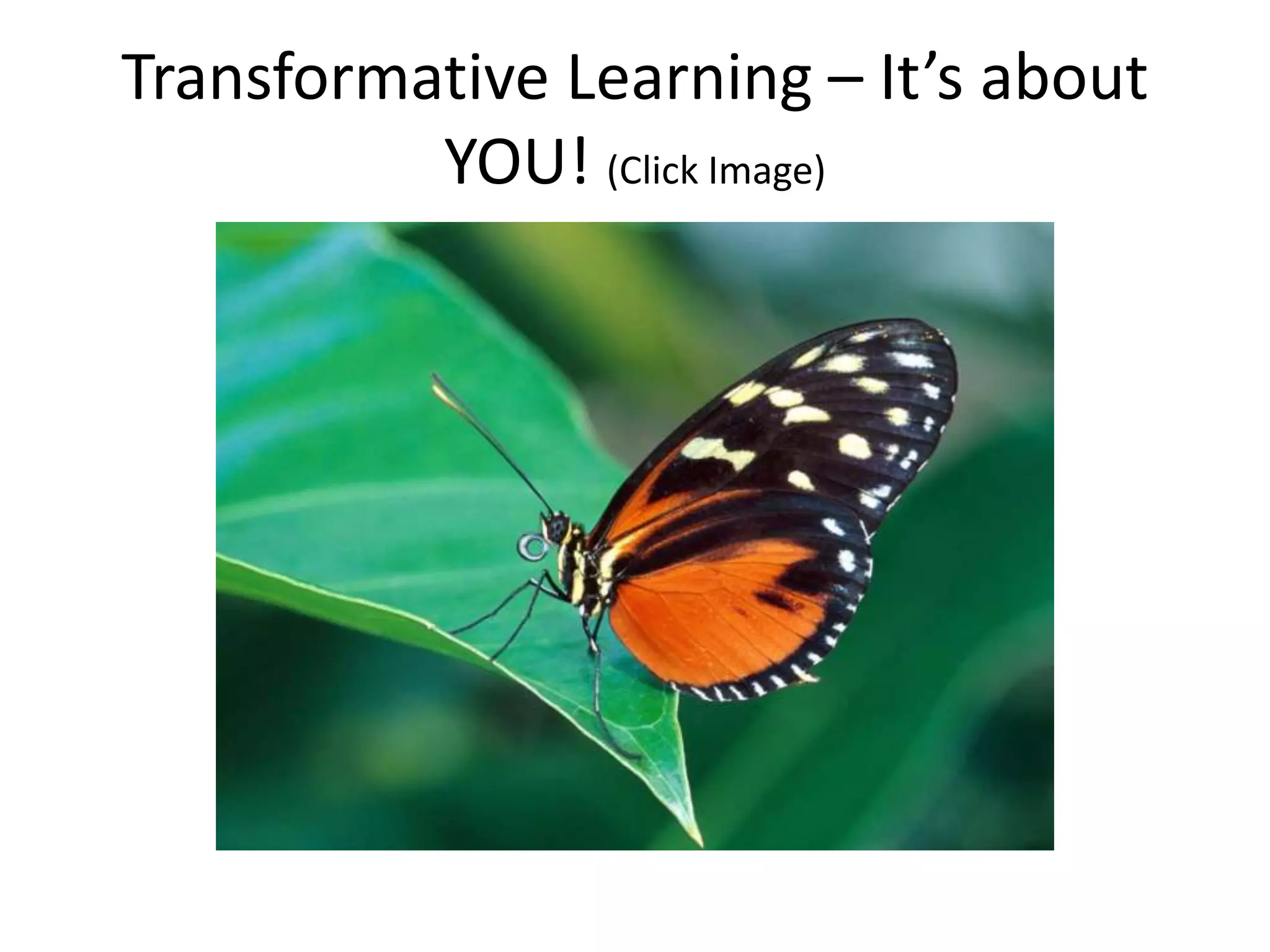 Transformative Learning – It’s about
          YOU! (Click Image)
 