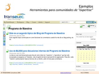 Ejemplos
                                Herramientas para comunidades de “expertise”




© TRANSFORME Consultores 2009                        www.transforme.cl   +56 2 5709401
 