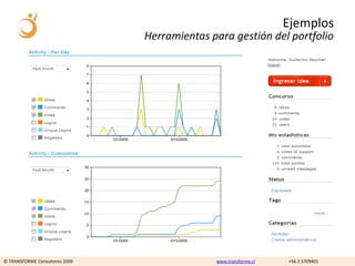 Ejemplos
                                Herramientas para gestión del portfolio




© TRANSFORME Consultores 2009                 www.transforme.cl   +56 2 5709401
 