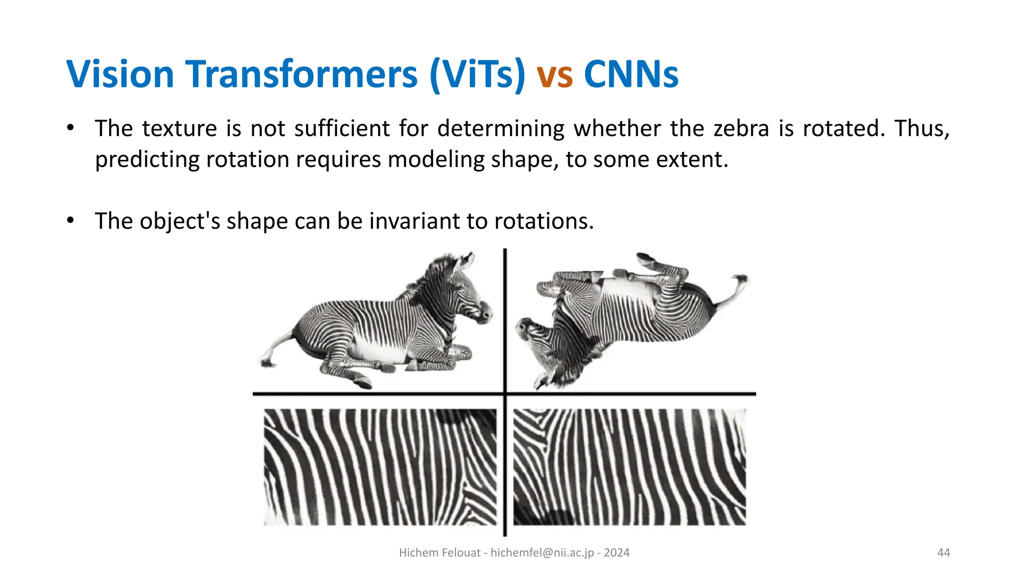 Hichem Felouat - hichemfel@nii.ac.jp - 2024 44 • The texture is not sufficient for determining whether the zebra is rotated. Thus, predicting rotation requires modeling shape, to some extent. • The object's shape can be invariant to rotations. Vision Transformers (ViTs) vs CNNs 