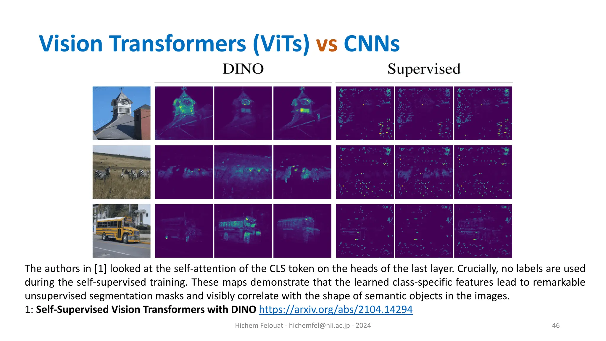 Hichem Felouat - hichemfel@nii.ac.jp - 2024 46 The authors in [1] looked at the self-attention of the CLS token on the heads of the last layer. Crucially, no labels are used during the self-supervised training. These maps demonstrate that the learned class-specific features lead to remarkable unsupervised segmentation masks and visibly correlate with the shape of semantic objects in the images. 1: Self-Supervised Vision Transformers with DINO https://arxiv.org/abs/2104.14294 Vision Transformers (ViTs) vs CNNs 