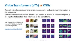 Hichem Felouat - hichemfel@nii.ac.jp - 2024 45
The self-attention captures long-range dependencies and contextual information in
the input data.
The self-attention mechanism allows a ViT model to attend to different regions of
the input data based on their relevance to the task at hand.
Raw images (Left) and attention
maps of ViT-S/16 with (Right)
and without (Middle).
https://arxiv.org/abs/2106.01548
Vision Transformers (ViTs) vs CNNs
 