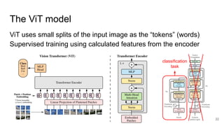 Transformer based approaches for visual representation learning | PDF