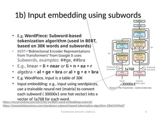 transformers as a tool for understanding advance algorithms in deep ...