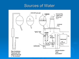 Sources of Water
Sources of Water
 