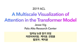 A Multiscale Visualization of Attention in the Transformer Model | PDF