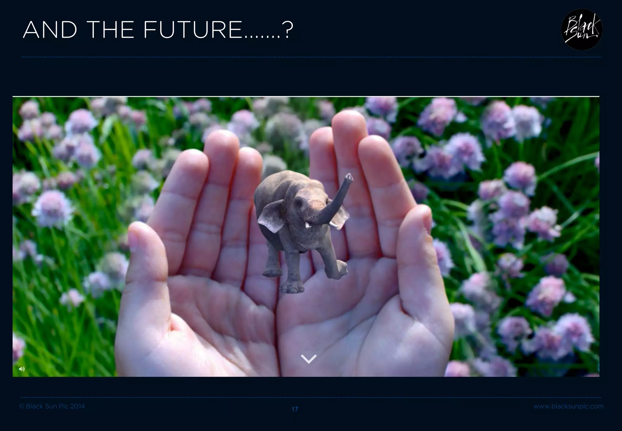 © Black Sun Plc 2014 www.blacksunplc.com 
AND THE FUTURE…….? 17 
 