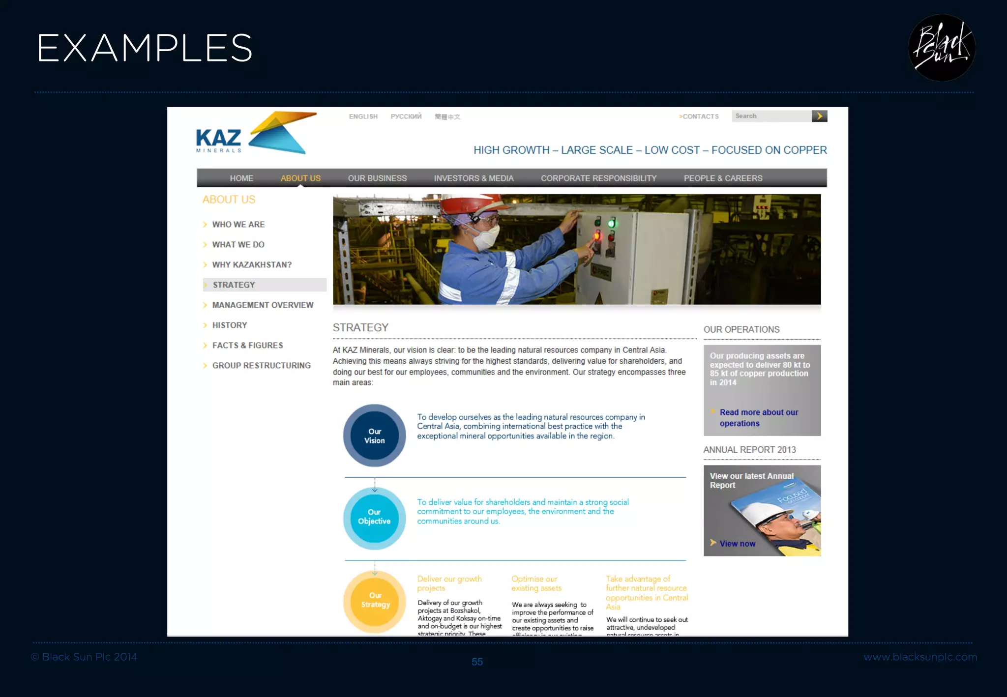 © Black Sun Plc 2014 55 www.blacksunplc.com 
EXAMPLES  