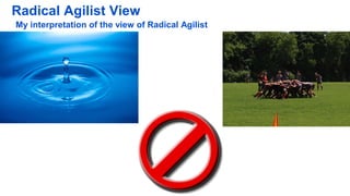 Radical Agilist View
My interpretation of the view of Radical Agilist
 
