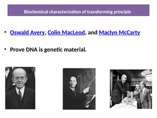 Biochemical characterization of transforming principle
• Oswald Avery, Colin MacLeod, and Maclyn McCarty
• Prove DNA is genetic material.