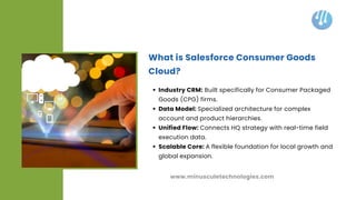 Transforming Retail Execution with a Salesforce Consumer Goods Cloud ...