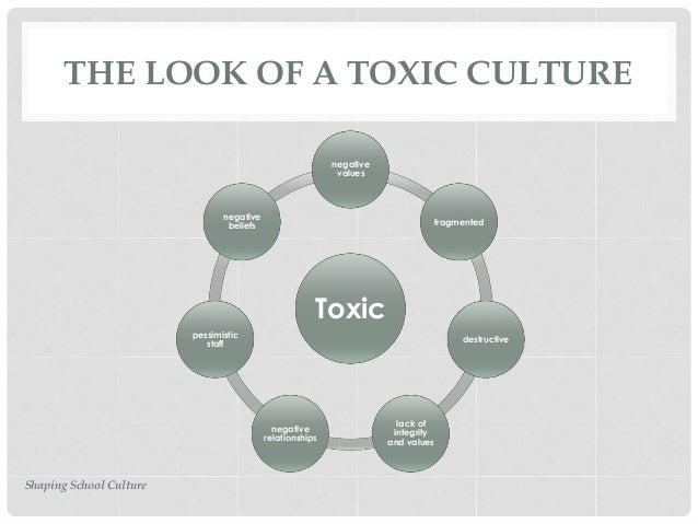 Transforming School Culture