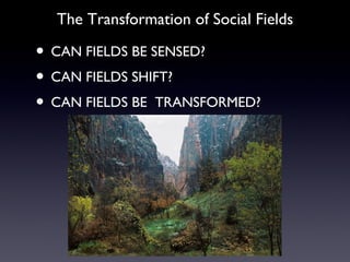 Transforming Social Fields