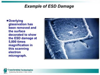 Example of ESD Damage Overlying glassivation has been removed and the surface decorated to show the ESD damage at 5,000 times magnification in this scanning electron micrograph. 