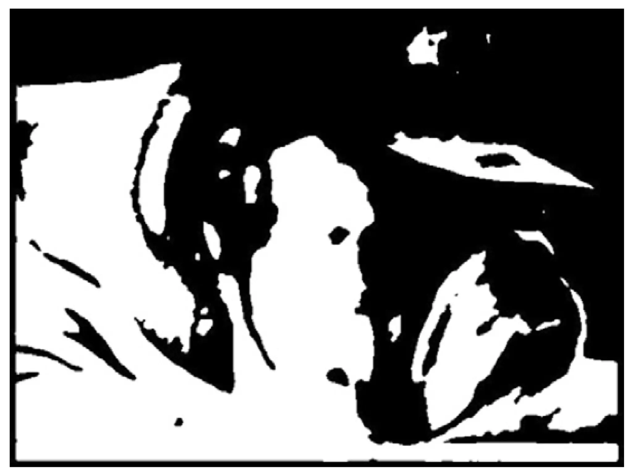 Ludmer et al. 2011, Neuron  