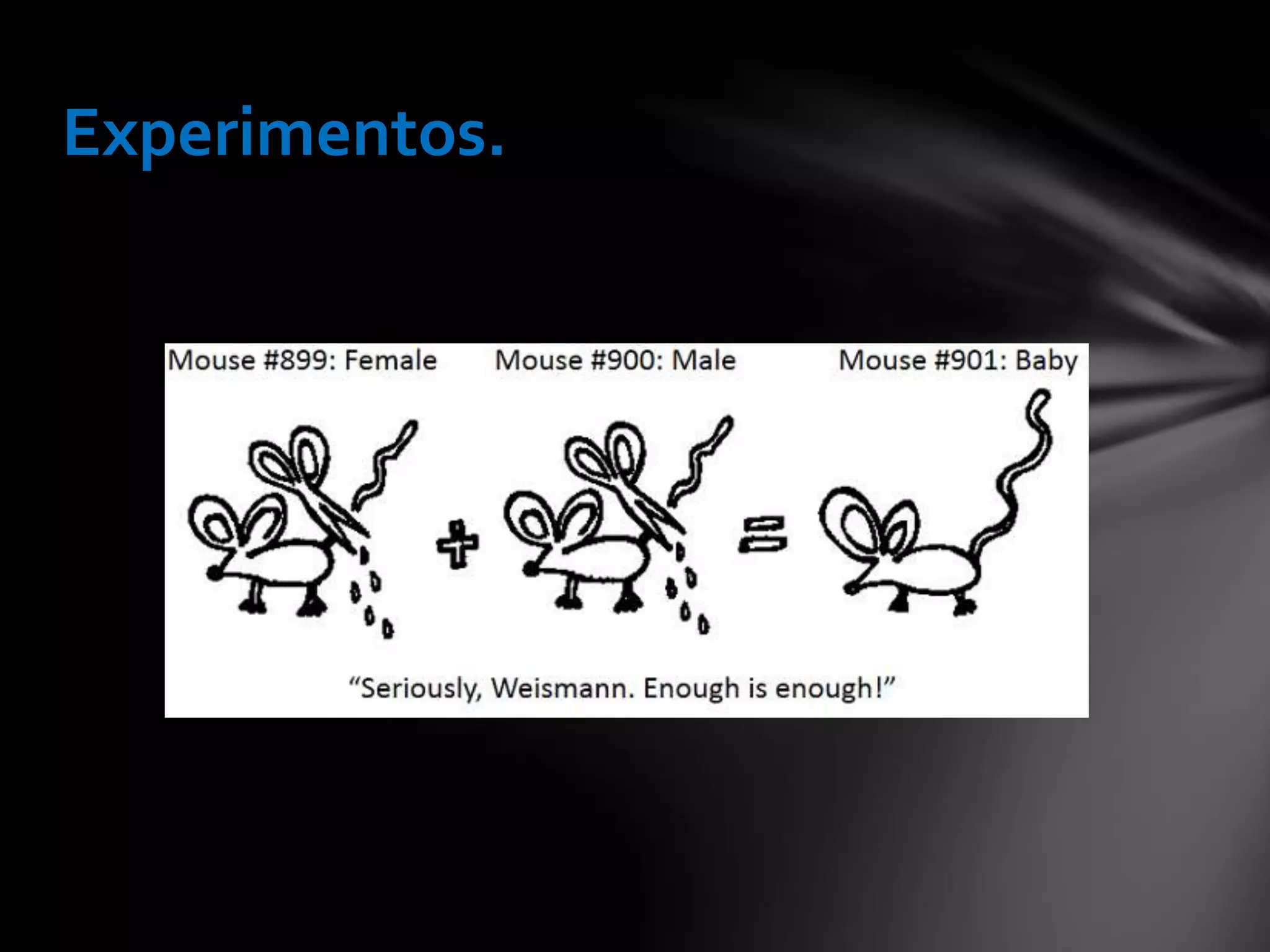 Transformismo de lamarck | PPT