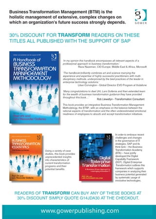 Rob Llewellyn - Transformation Consultant
 