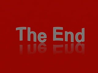 Transform Plate Boundaries