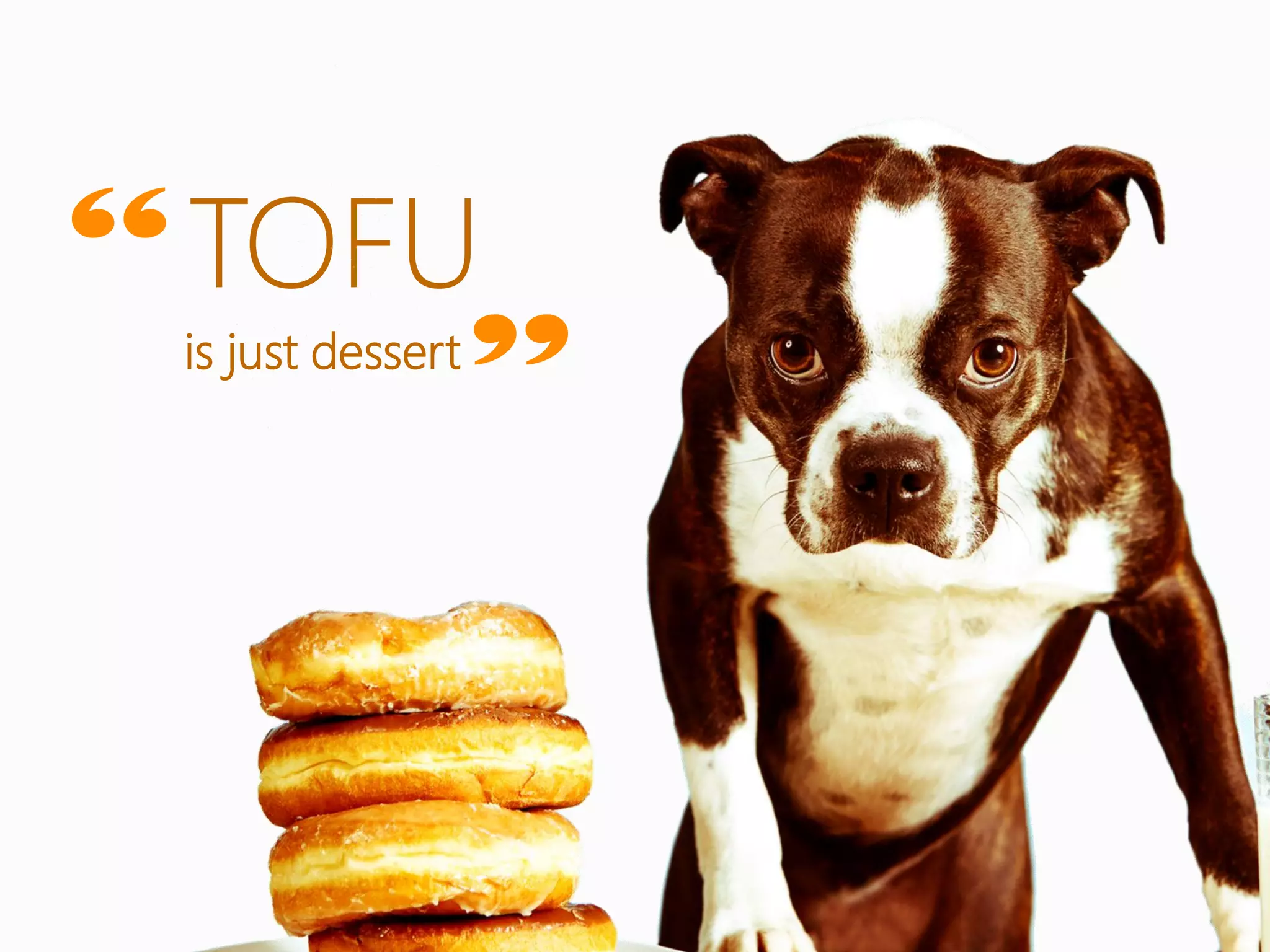“ TOFU
      ”
 is just dessert
 