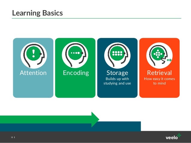 improving memory encoding storage and retrieval In this essay i will discuss the three processes of memory: encoding, storage, and retrieval i will also discuss encoding techniques such as the method of loci, which improve the span of memory ii. improving memory encoding storage and retrieval In this essay i will discuss the three processes of memory: encoding, storage, and retrieval i will also discuss encoding techniques such as the method of loci, which improve the span of memory ii.