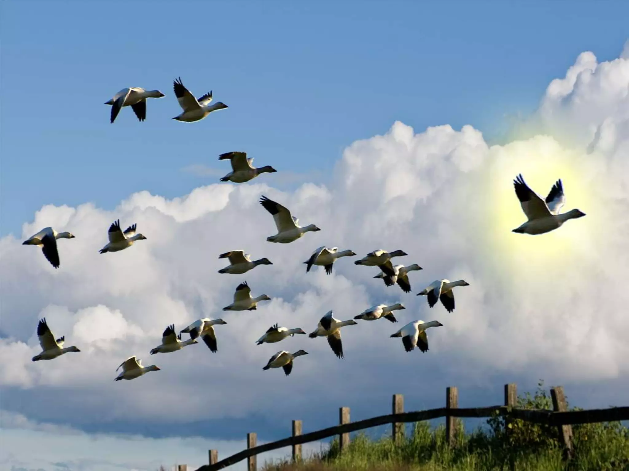 Simulators

© 2010-2014 CapitalWave, Inc. | All rights reserved.

Page 9

 