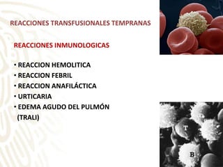 REACCIONES TRANSFUSIONALES TEMPRANAS
REACCIONES INMUNOLOGICAS
• REACCION HEMOLITICA
• REACCION FEBRIL
• REACCION ANAFILÁCTICA
• URTICARIA
• EDEMA AGUDO DEL PULMÓN
(TRALI)
 