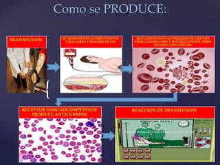 {
Como se PRODUCE:
TRANSFUSION SE ADMINISTRA COMPONENTES
CELULARES Y PLASMATICOS
QUE CONTIENEN ANTIGENOS DE GRUPOS
SANGUINEOS (ABO Y RH FRECUENTES, PERO
NO SON LOS UNICOS)
RECEPTOR INMUNOCOMPETENTE
PRODUCE ANTICUERPOS
REACCION DE TRANSFUSION
 