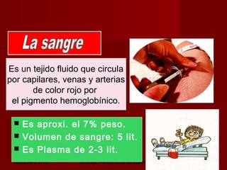 octubre 2,012 lic.Esp. Florentina Morales Damián Docente: UNMSM7
Es un tejido fluido que circula
por capilares, venas y arterias
de color rojo por
el pigmento hemoglobínico.
 Es aproxi. el 7% peso.
 Volumen de sangre: 5 lit.
 Es Plasma de 2-3 lit.
 