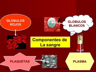 octubre 2,012 lic.Esp. Florentina Morales Damián Docente: UNMSM9
GLOBULOS
ROJOS
GLOBULOS
BLANCOS
PLASMAPLAQUETAS
Componentes de
La sangre
 