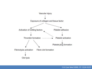 Crit Care Med 2009; 37: 3124-3157
 