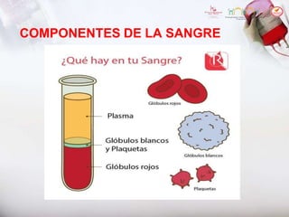 COMPONENTES DE LA SANGRE
 