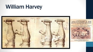 William Harvey
 
