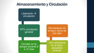 Almacenamiento y Circulación
Liberación 
circulación
67% circulación
general
Circulan en la
sangre durante 8
a 12 días
33% almacena
en el bazo:
plaquetas
jóvenes
Permanecen en
el bazo cerca de
dos dias
 