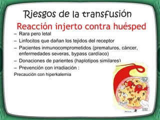 Riesgos de la transfusión
 Reacción injerto contra huésped
– Rara pero letal
– Linfocitos que dañan los tejidos del receptor
– Pacientes inmunocomprometidos (prematuros, cáncer,
  enfermedades severas, bypass cardíaco)
– Donaciones de parientes (haplotipos similares)
– Prevención con irradiación :
Precaución con hiperkalemia
 