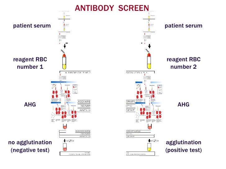 Transfusion Pathology