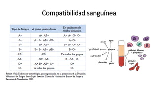 Compatibilidad sanguínea
 