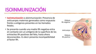 ISOINMUNIZACIÓN
• Isoinmunización o aloinmunización: Presencia de
anticuerpos maternos generados como respuesta
frente a antígenos presentes en los hematíes
fetales.
• Se presenta cuando una madre Rh negativa entra
en contacto con un antígeno de la superficie de los
eritrocitos Rh positivos del feto, hasta ahora
desconocidos. Es decir presenta incompatibilidad
al factor Rh.
 