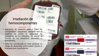 Irradiación de
hemocomponentes
• Aplicación de radiación gamma sobre los
componentes sanguíneos celulares con el
objetivo de anular la capacidad de
replicación de los linfocitos, sin afectar la
función de los eritrocitos, plaquetas ni
granulocitos.
• Debe ser considerada en todo paciente en
riesgo de desarrollar enfermedad Injerto vs
Huésped post-transfusional.
 